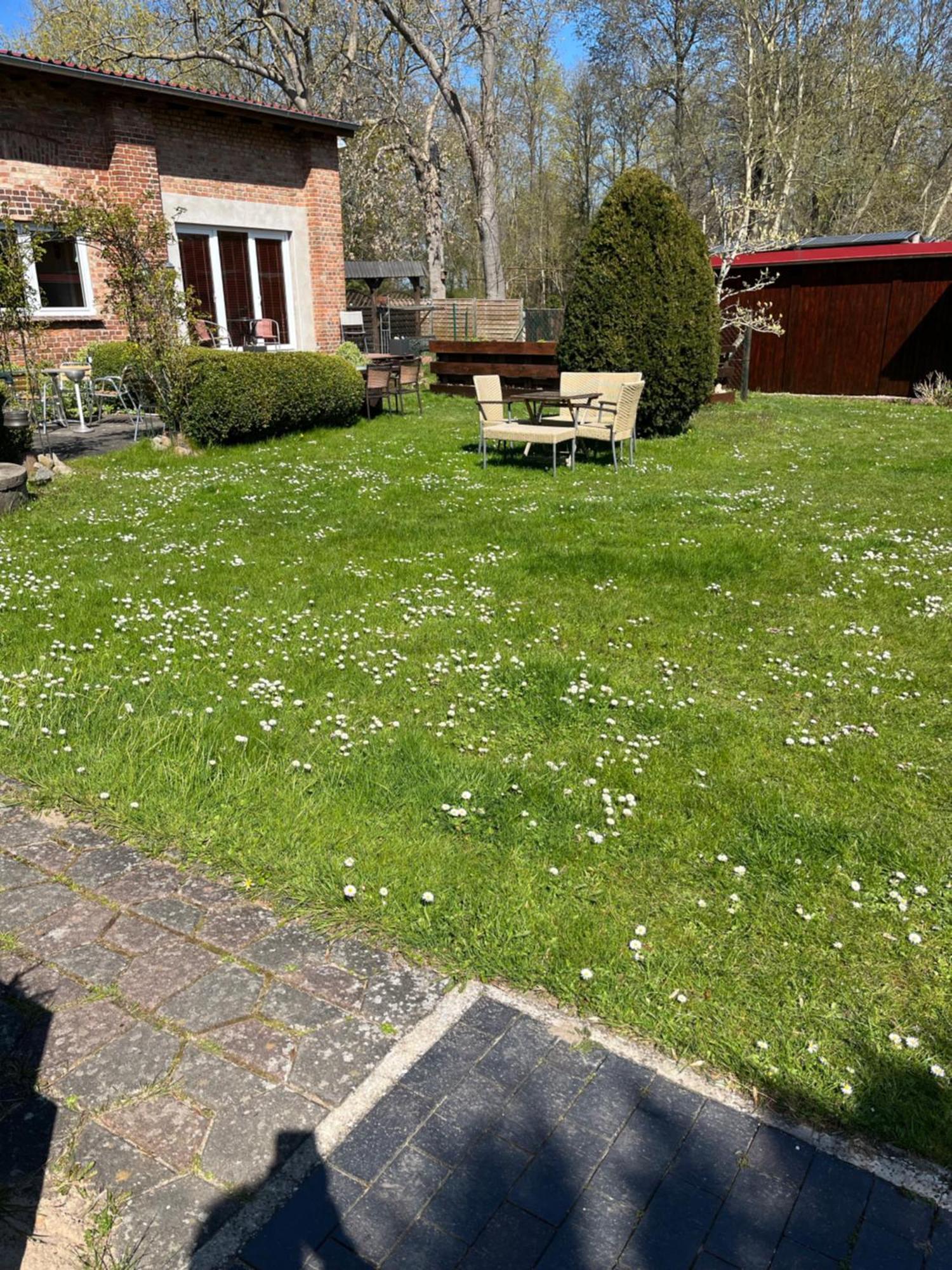 Ferienwohnung Holtz 7 Mesekenhagen Dış mekan fotoğraf